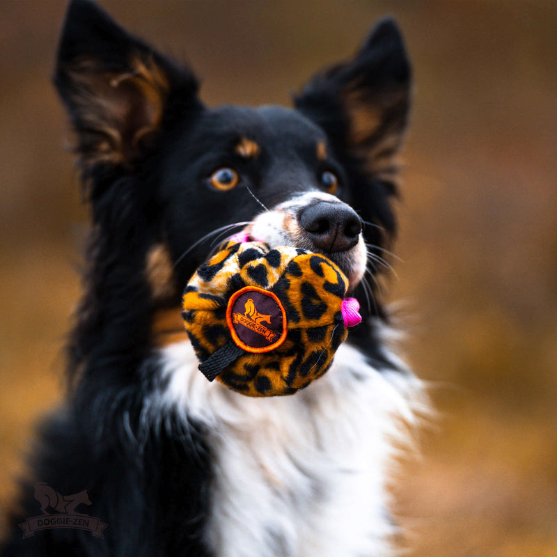 Belønningsbold til godbidder med knitrestof, Doggie-zen
