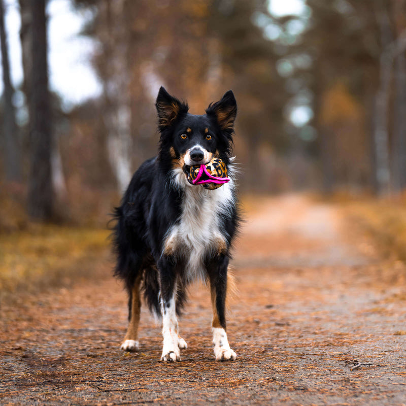 Belønningsbold til godbidder med knitrestof, Doggie-zen