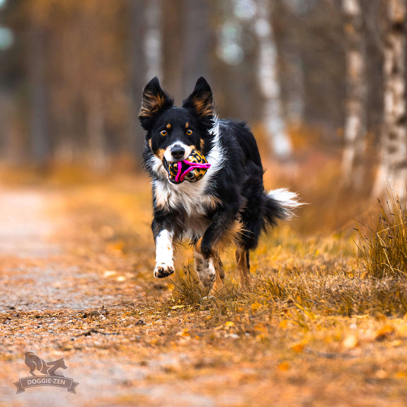 Belønningsbold til godbidder med knitrestof, Doggie-zen