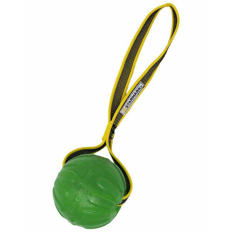 Starmark Gripcord Chew Ball Loop