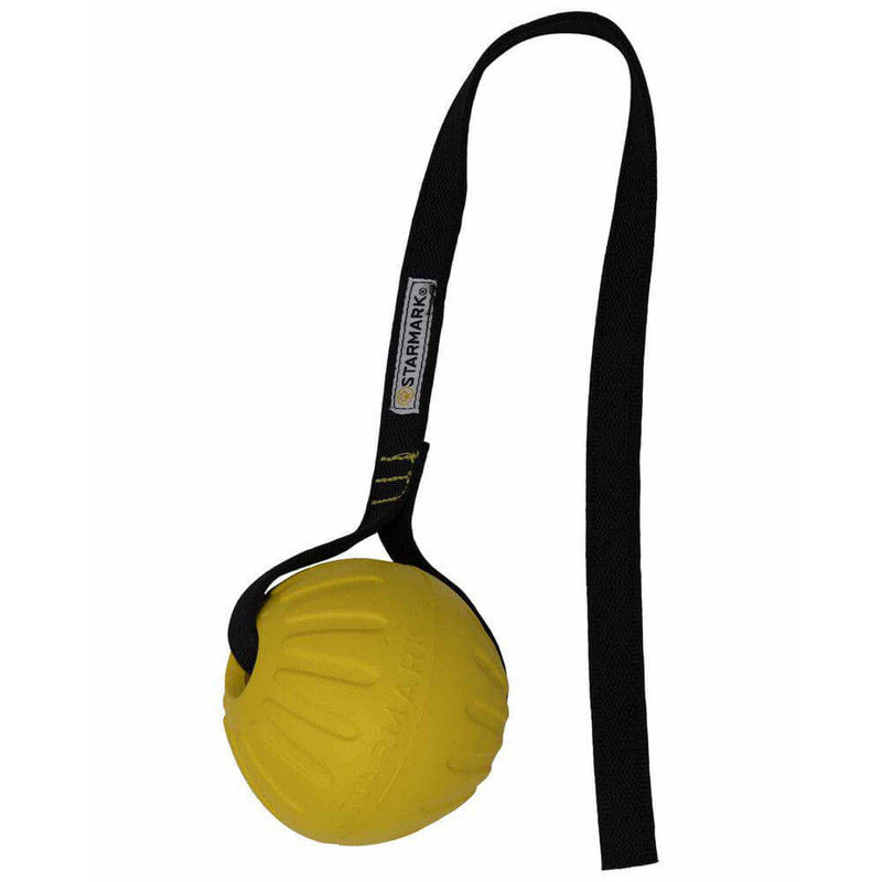 Starmark Gripcord Durafoam Ball Long