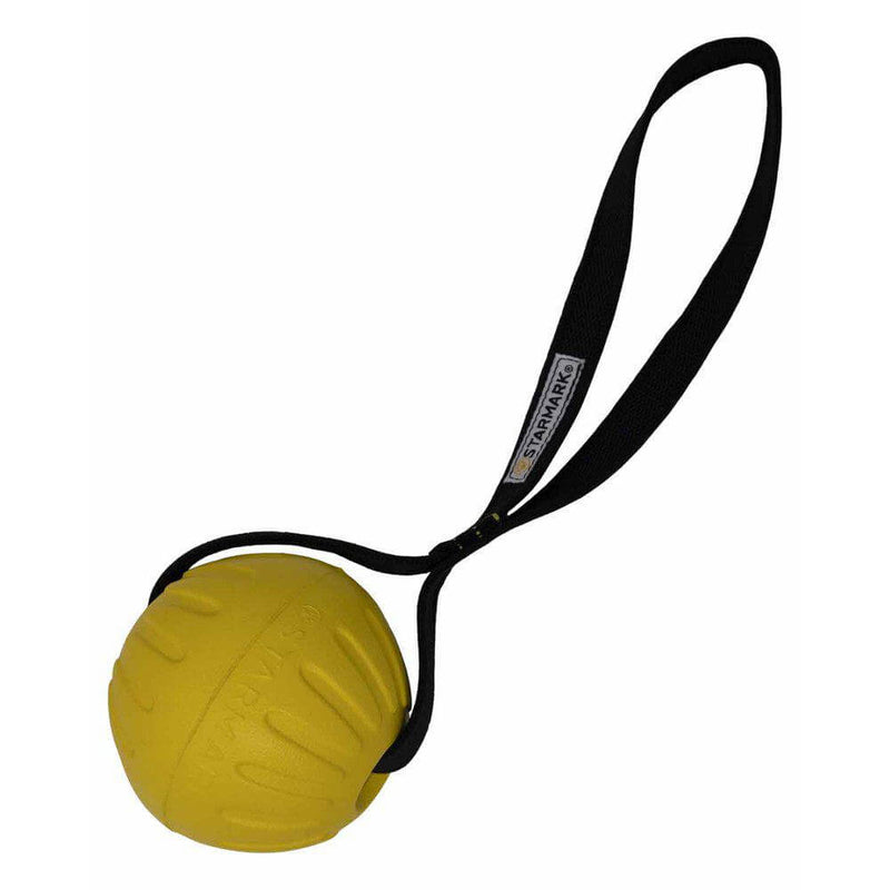 Starmark Gripcord Durafoam Ball Loop