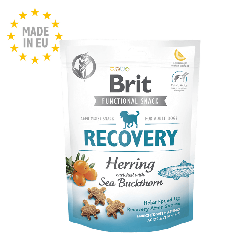 Brit recovery med sild & havtorn, 150g