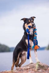 Hol-ee fleece & fake pels flet med bungee, Doggie-zen