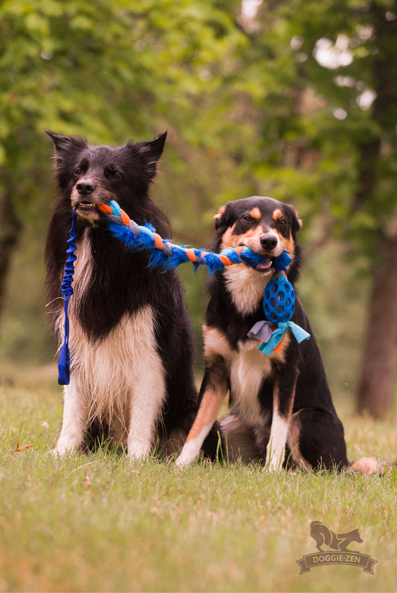 Hol-ee fleece & fake pels flet med bungee, Doggie-zen