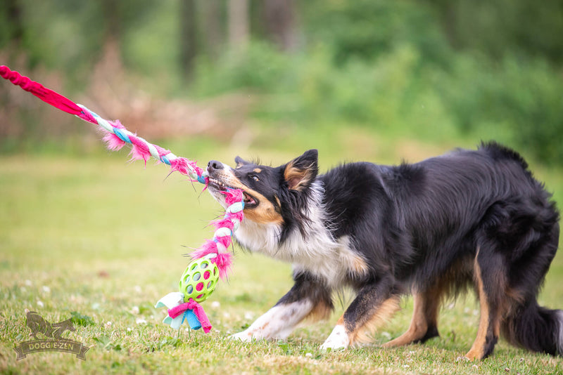 Hol-ee fleece & fake pels flet med bungee, Doggie-zen