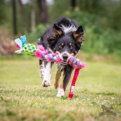 Hol-ee fleece & fake pels flet med bungee, Doggie-zen