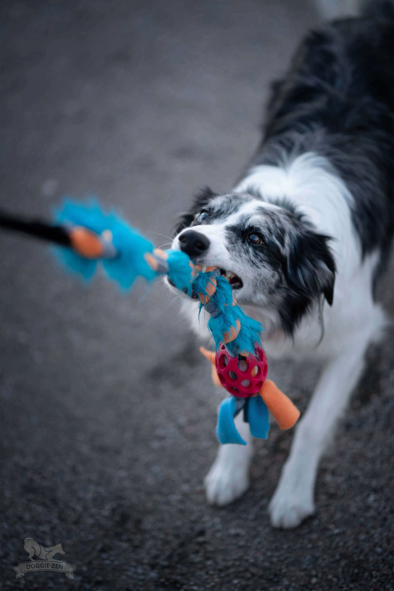 Hol-ee fleece & fake pels flet med bungee, Doggie-zen