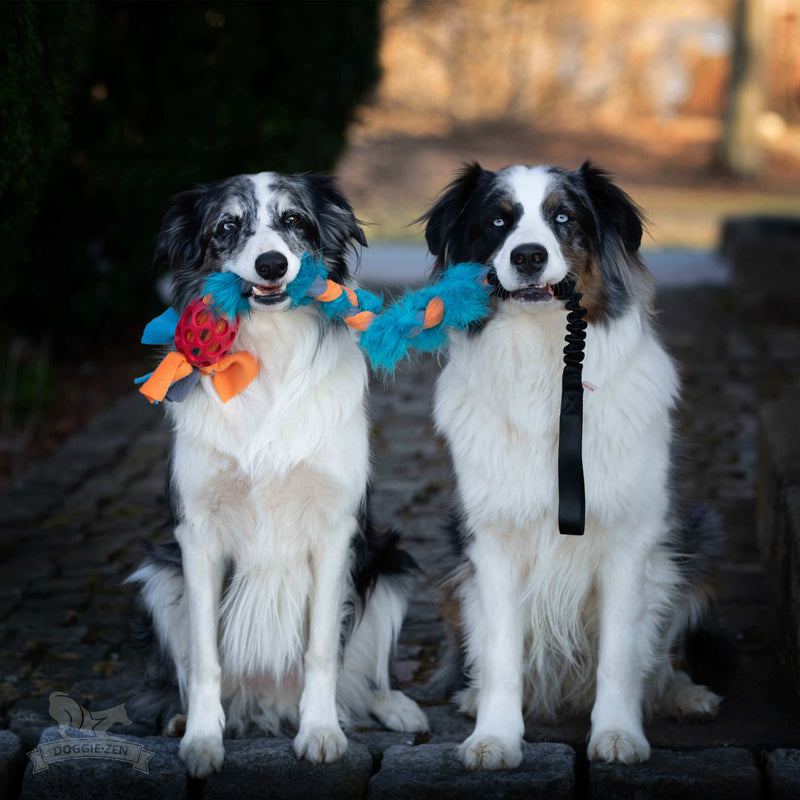 Hol-ee fleece & fake pels flet med bungee, Doggie-zen