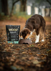 Woolf Ultimate, puppy 1 kg