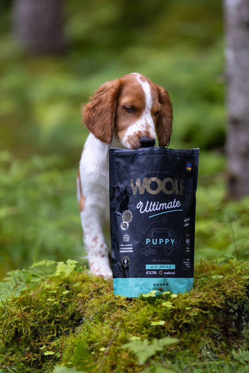 Woolf Ultimate, puppy 1 kg