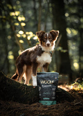 Woolf Ultimate, puppy 1 kg